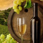 Wine Tasting Tours Southern California
