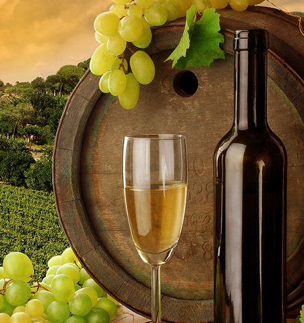 Wine Tasting Tours Southern California